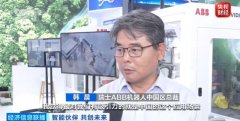 浩繁方面的奇特劣势